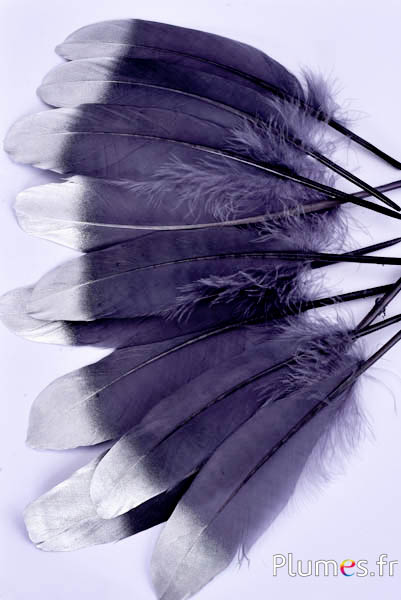 Gans met silver punt - 15-21 cm - antraciet